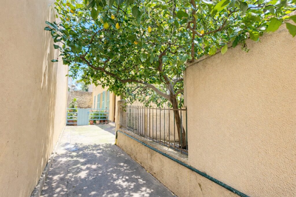 Appartement – 1 pièce – NR chambres – 19 m²