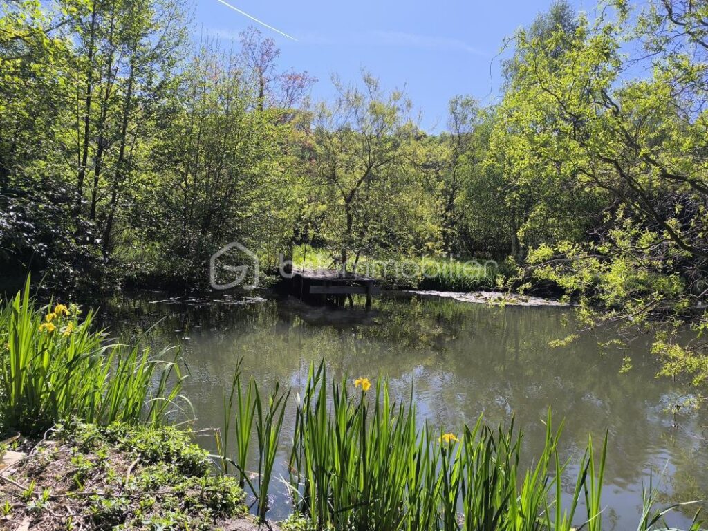 Coin idyllique : maison avec un étang – 3 pièces – 1 chambre – 50 m²