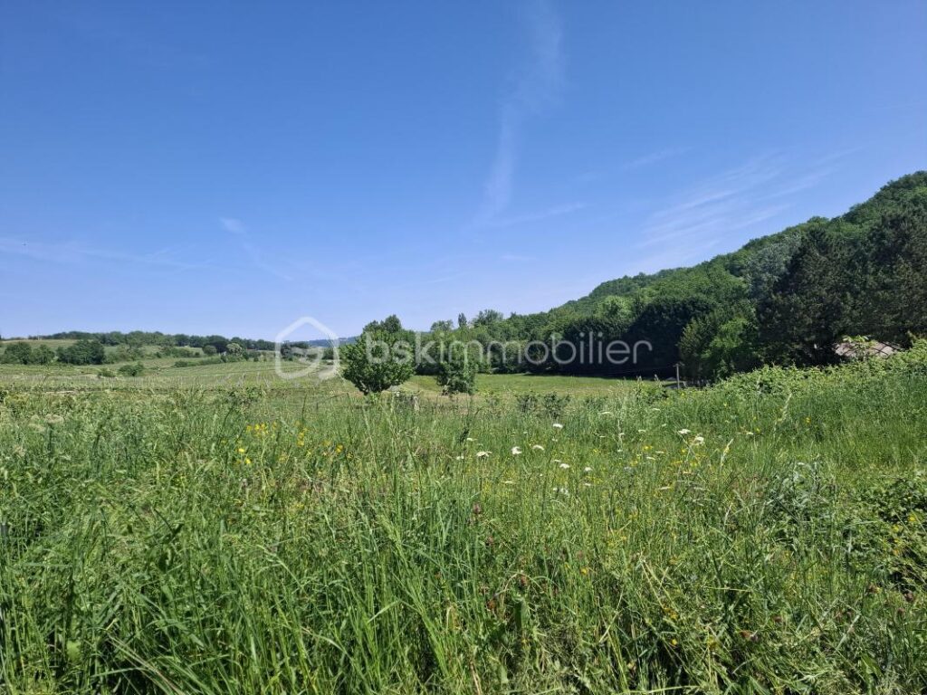 Maison à terminer de 160 m² – Vue campagne – Pessac-sur-Dordogne (33890) – 1 pièce – 4 chambres – 160 m²
