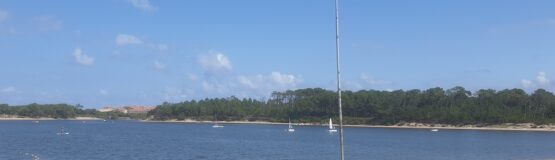 landes vue lac vieux boucaux vue nature