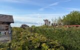 EVIAN APPARTEMENT 3 CHAMBRES AVEC VUE LAC ET JARDIN PRIVATIF – 4 pièces – 3 chambres – 93 m²