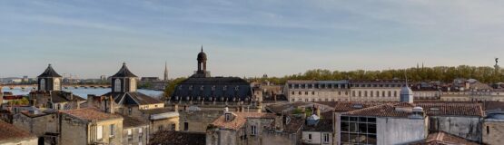 vue toits de bordeaux et fleuve