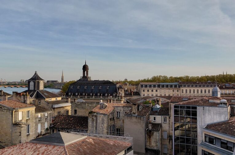 vue toits de bordeaux et fleuve