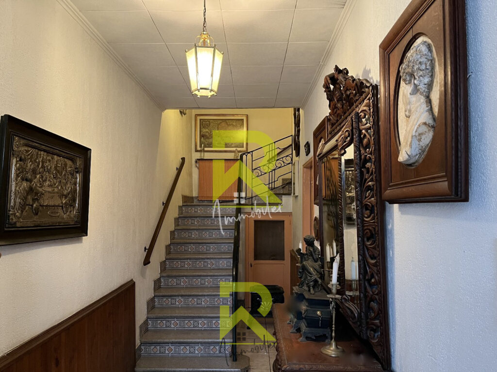 Charmant ensemble immobilier – Pézenas – 11 pièces – NR chambres – 250 m²