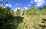 Terrain à vendre à Puyréaux