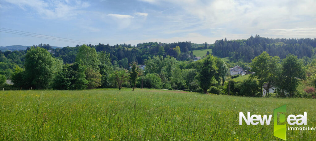 Superbe terrain de 2.500 m² à Tulle – NR pièces – NR chambres – 2500 m²