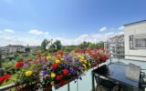 3%COM Bel appartement F3 coté canal – terrasse – garage – 3 pièces – 2 chambres – 60 m²