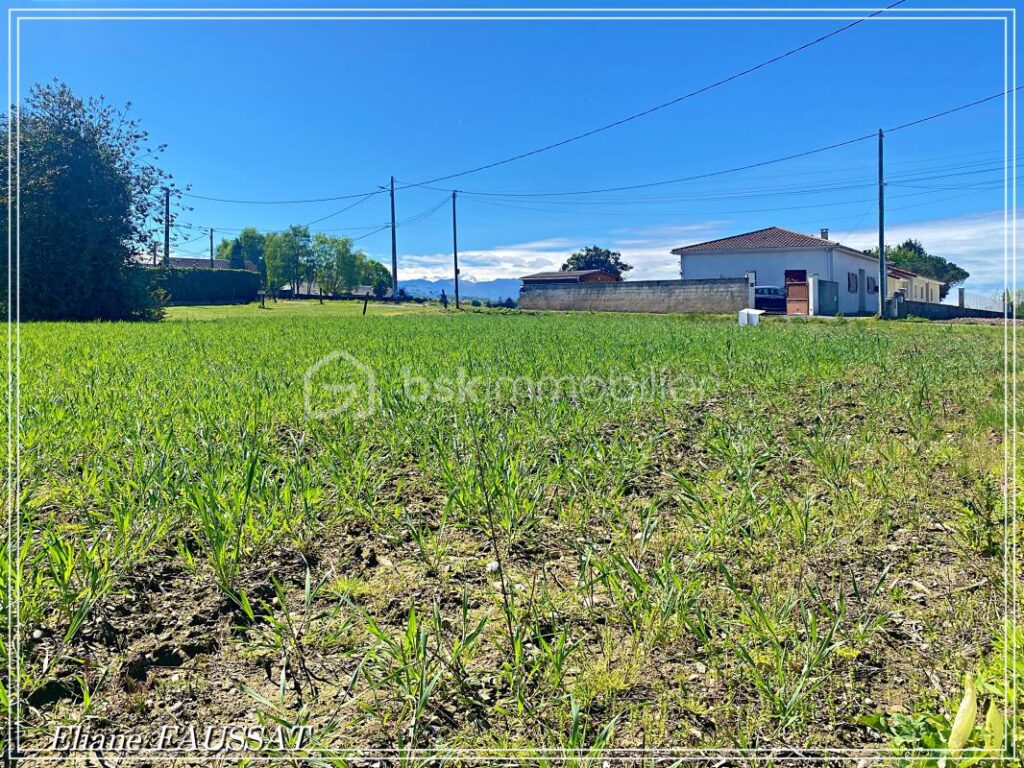 Optimisez le potentiel de votre futur projet immobilier à LALOUBERE – NR pièces – NR chambres – 700 m²