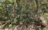 Terrain à vendre à Brunet — Vue dégagée — photo 1
