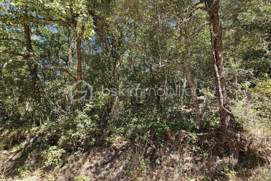 Terrain à vendre à Brunet — Vue dégagée — photo 1