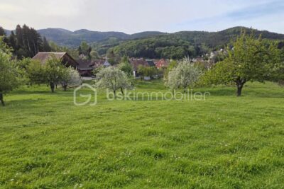 Terrain à vendre à Breitenbach haut rhin