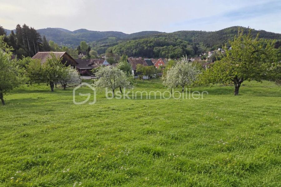 Terrain à vendre à Breitenbach haut rhin