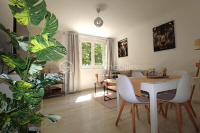 AGREABLE APPARTEMENT LUMINEUX ET TRAVERSANT ( 3 piéces 50 m² ) avec 2 chambres et cave – 3 pièces – 2 chambres – 49 m²