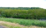 Terrain à vendre à Pouru aux bois