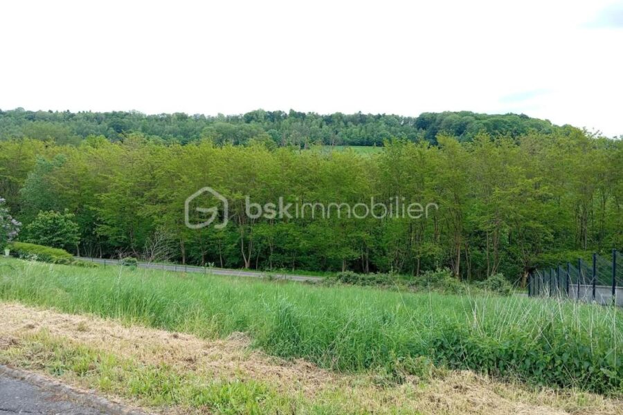 Terrain à vendre à Pouru aux bois