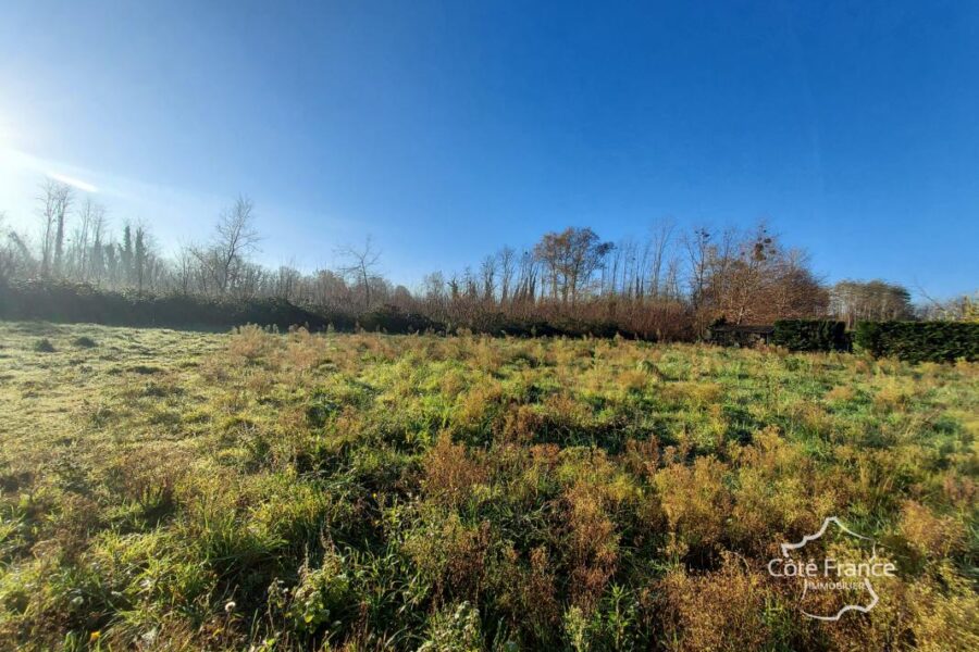 Terrain à vendre à Landiras