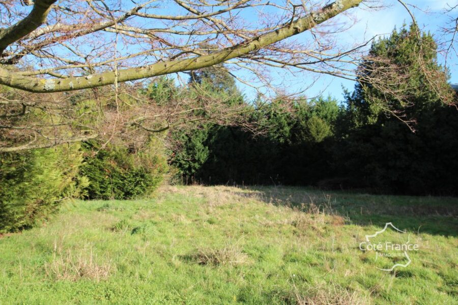 Terrain à vendre à Lons