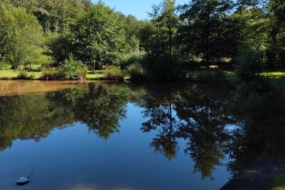 Terrain à vendre à Frahier et chatebier