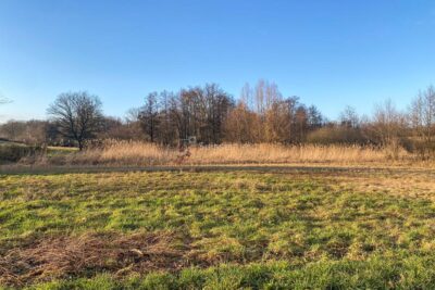 Terrain à vendre à La vergenne