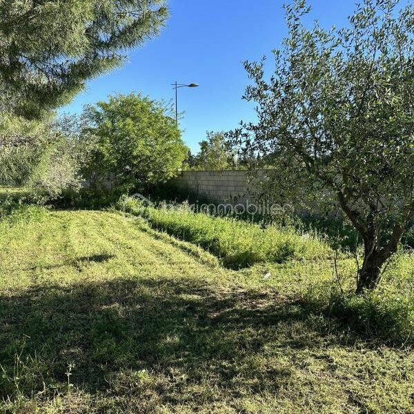 Terrain à vendre à Aimargues