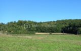 Terrain à vendre à Negrepelisse