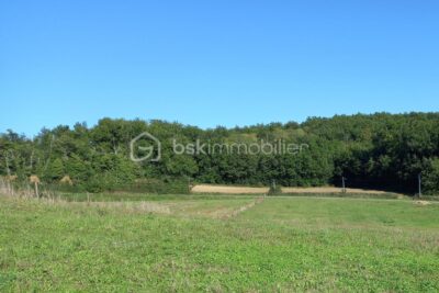 Terrain à vendre à Negrepelisse