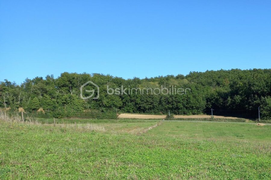 Terrain à vendre à Negrepelisse