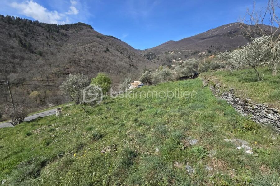 Terrain à vendre à Le vigan — Vue montagne — photo 2