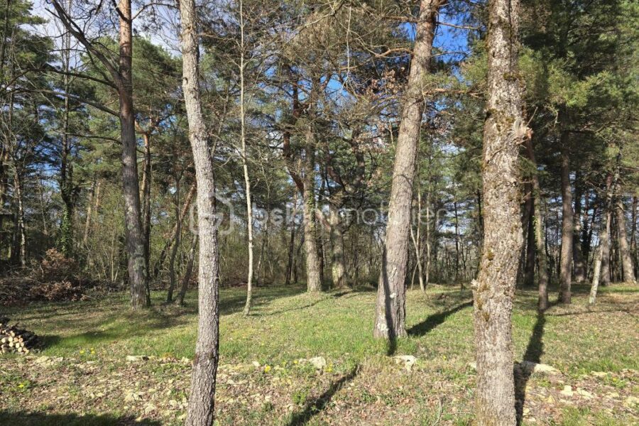 Terrain à vendre à Campagne