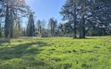 Terrain à vendre à Essomes sur marne