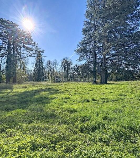 Terrain à vendre à Essomes sur marne