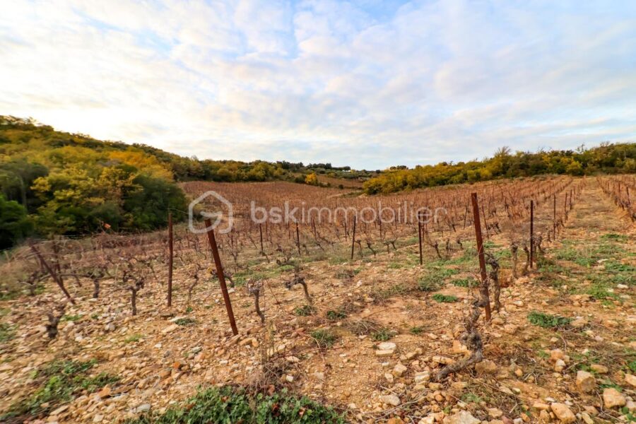 Terrain à vendre à Le bosc