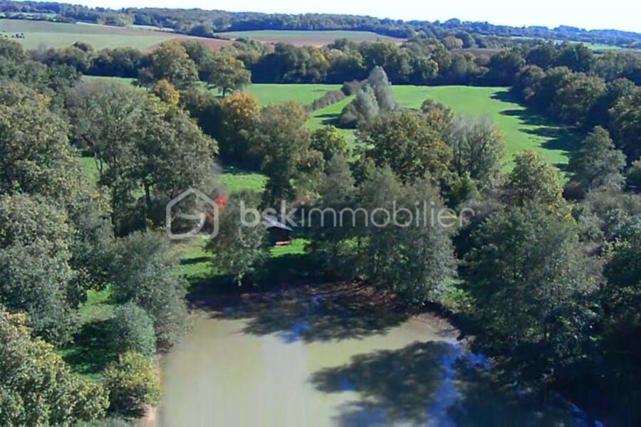 Terrain à vendre à Saint sauveur en puisaye