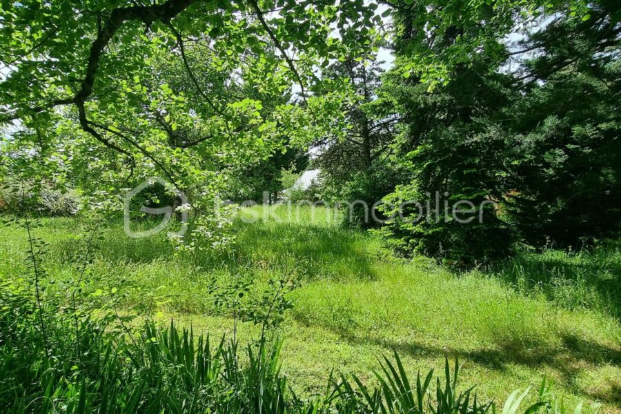 Terrain à vendre à Cheille