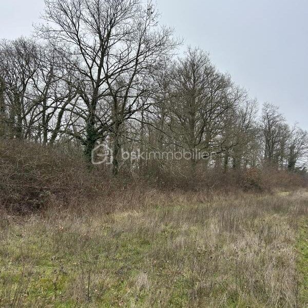 Terrain à vendre à Veuves