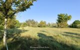 Terrain à vendre à Migne auxances