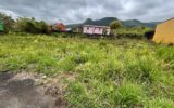 Terrain à vendre à La plaine des palmistes