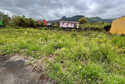 Terrain à vendre à La plaine des palmistes