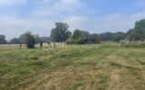 Terrain à vendre à Douville en auge