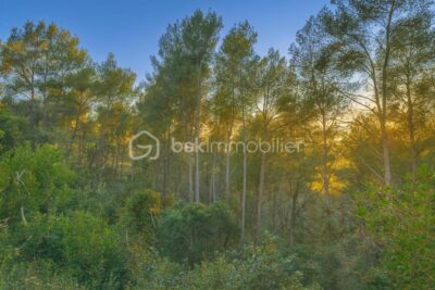 Terrain à vendre à La cadiere d azur