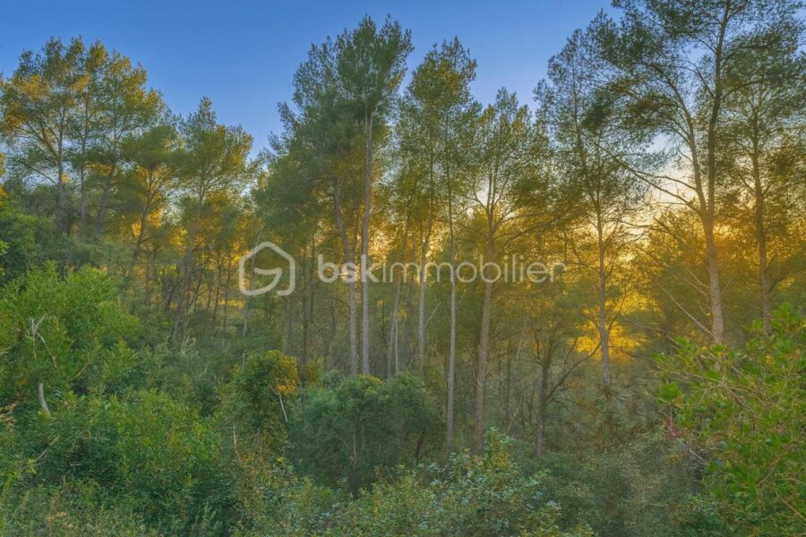 Terrain à vendre à La cadiere d azur