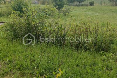 Terrain à vendre à Fismes