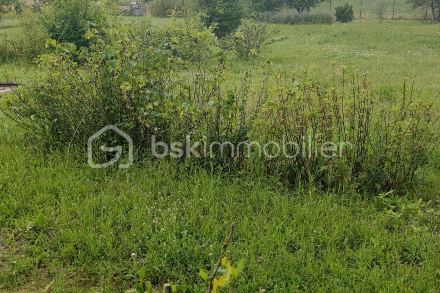 Terrain à vendre à Fismes