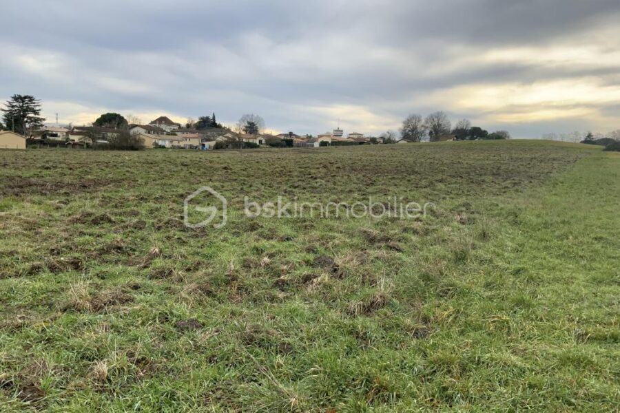 Terrain à vendre à Toulenne