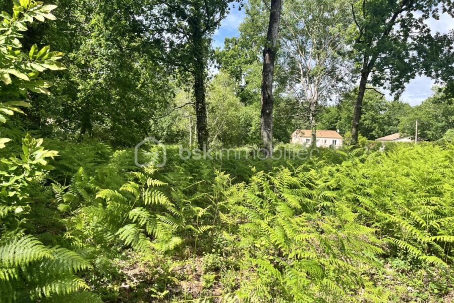 Terrain à vendre à Grayan et l hopital