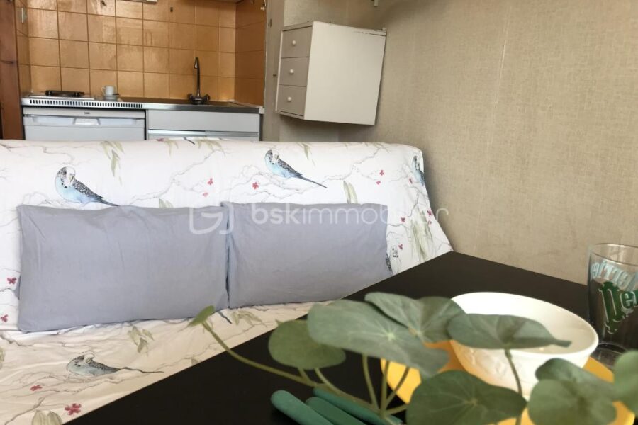 Appartement à vendre à Saint lary soulan