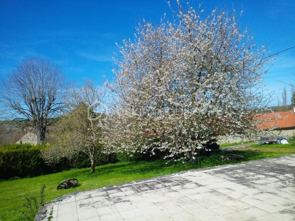 AU CALME ENTOURÉ DE VERDURE PROCHE DE NOYERS BOURGOGNE 89 – 4 pièces – 3 chambres – 77 m²