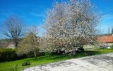 AU CALME ENTOURÉ DE VERDURE PROCHE DE NOYERS BOURGOGNE 89 – 4 pièces – 3 chambres – 77 m²