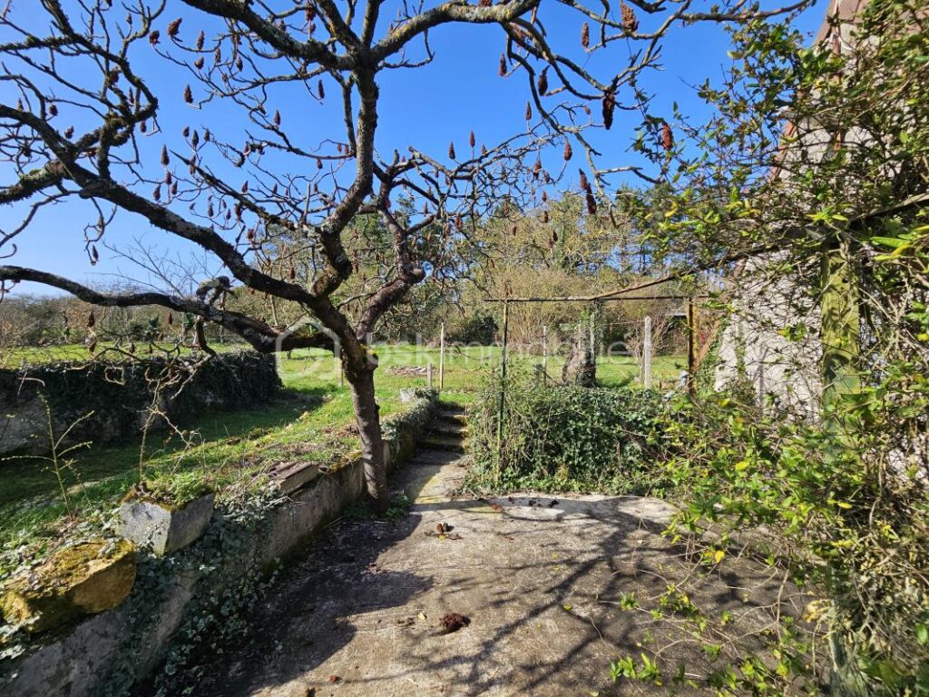 Charme et tranquillité – 10 min de Ligueil – 5 pièces – 1 chambre – 86 m²