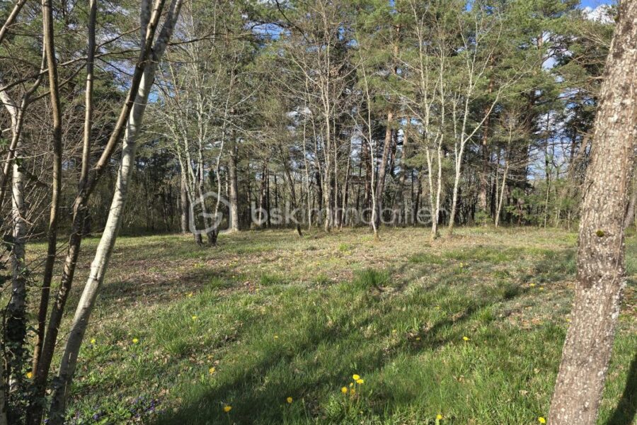 Terrain à vendre à Campagne